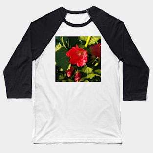 Red hollyhocks in sunshine Baseball T-Shirt